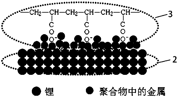 A polymer-protected lithium anode and a preparation method thereof