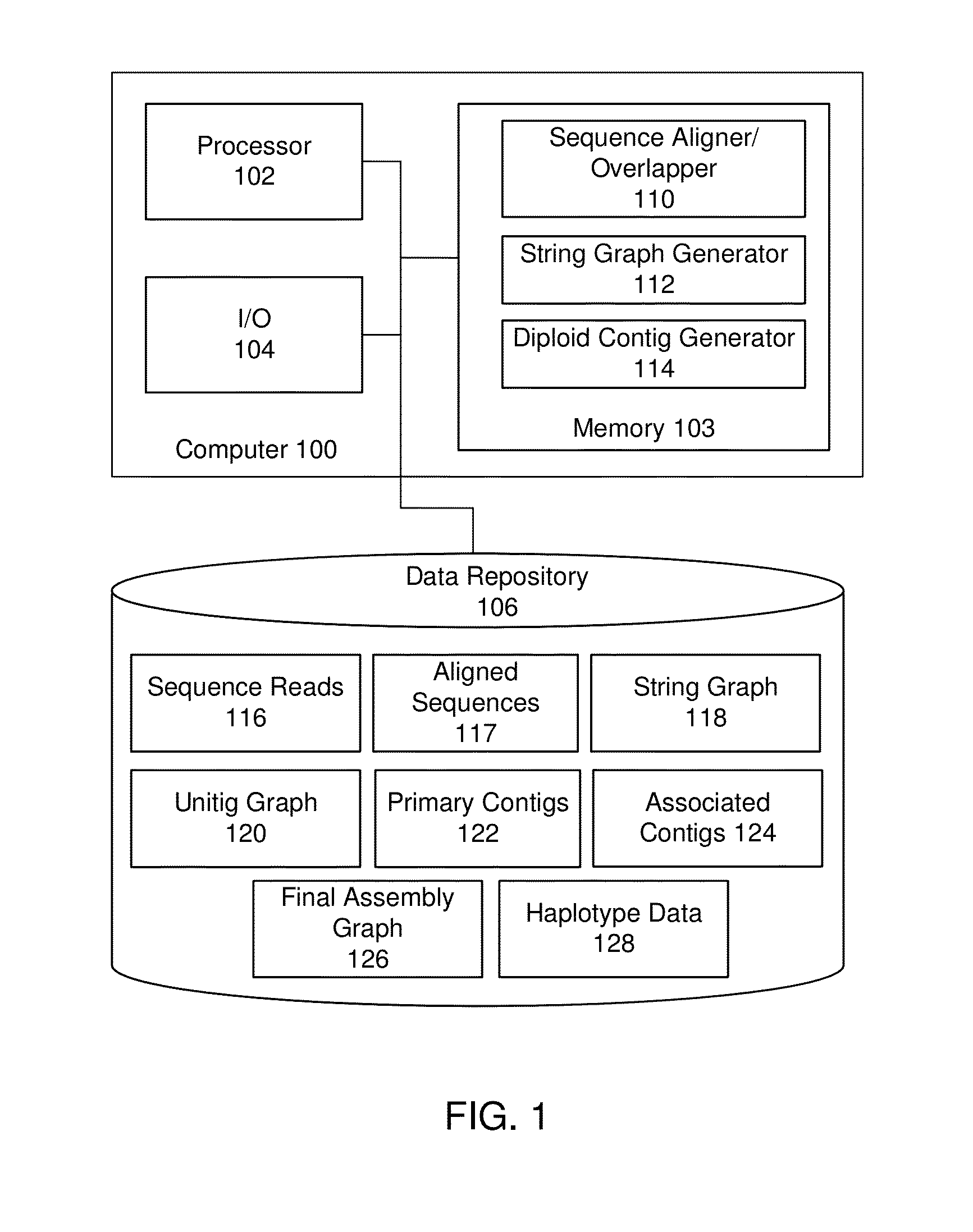 String graph assembly for polyploid genomes