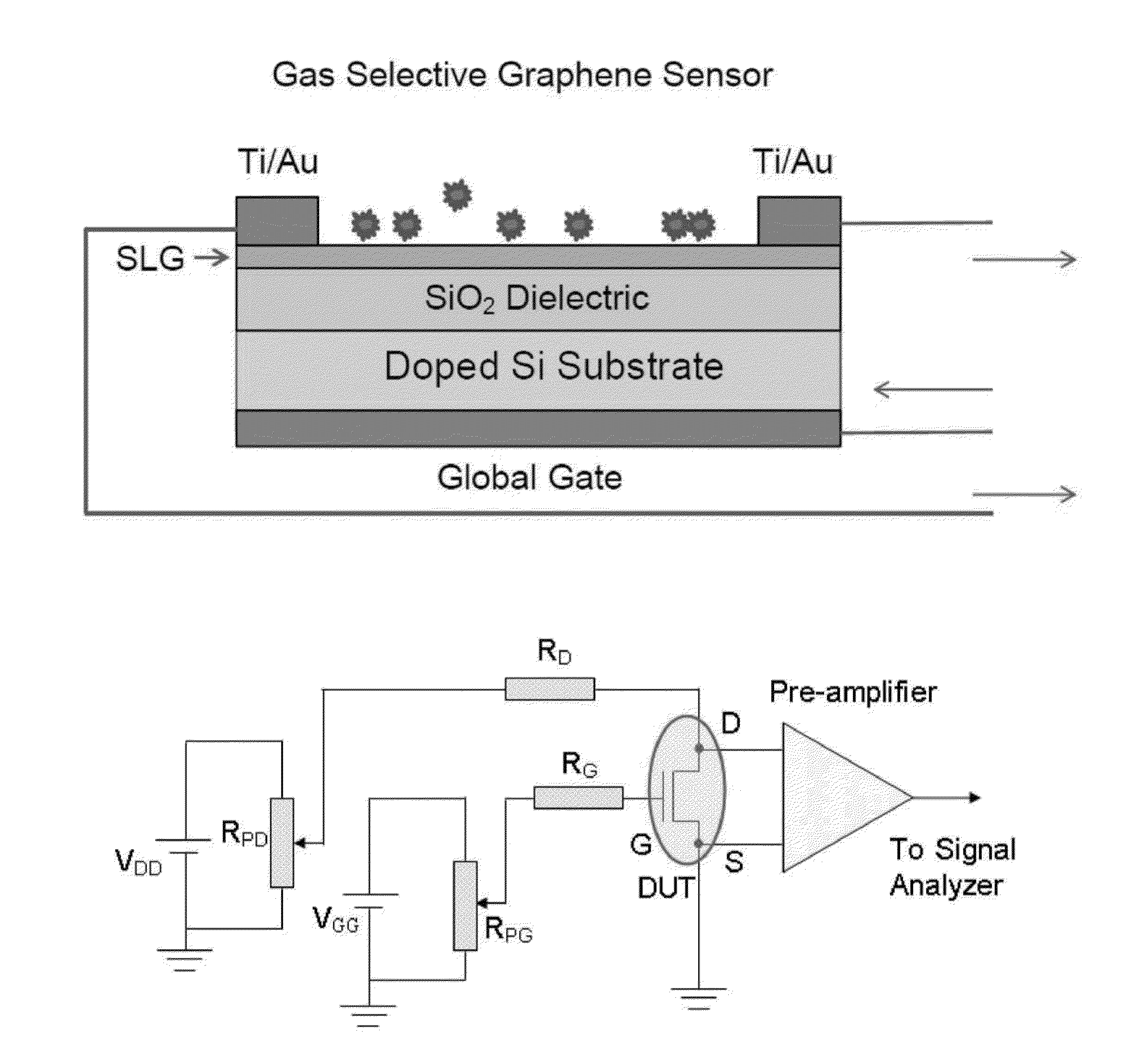 Graphene-based gas and bio sensor with high sensitivity and selectivity