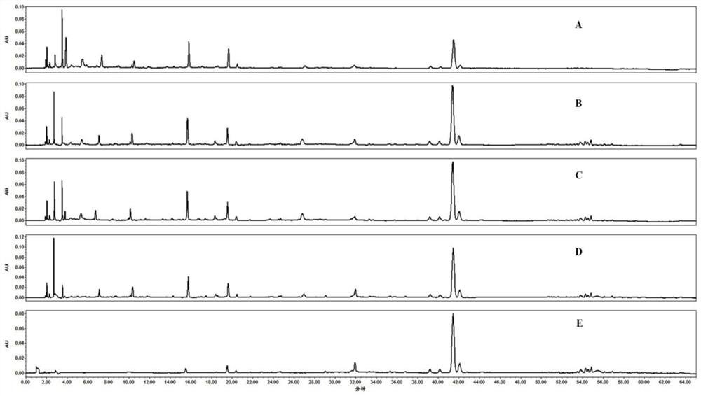 Method for Establishing Fingerprint of Angelica Decoction Pieces and Its Fingerprint