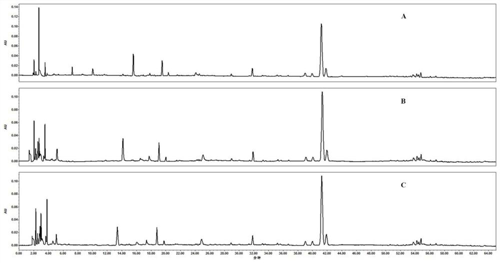 Method for Establishing Fingerprint of Angelica Decoction Pieces and Its Fingerprint