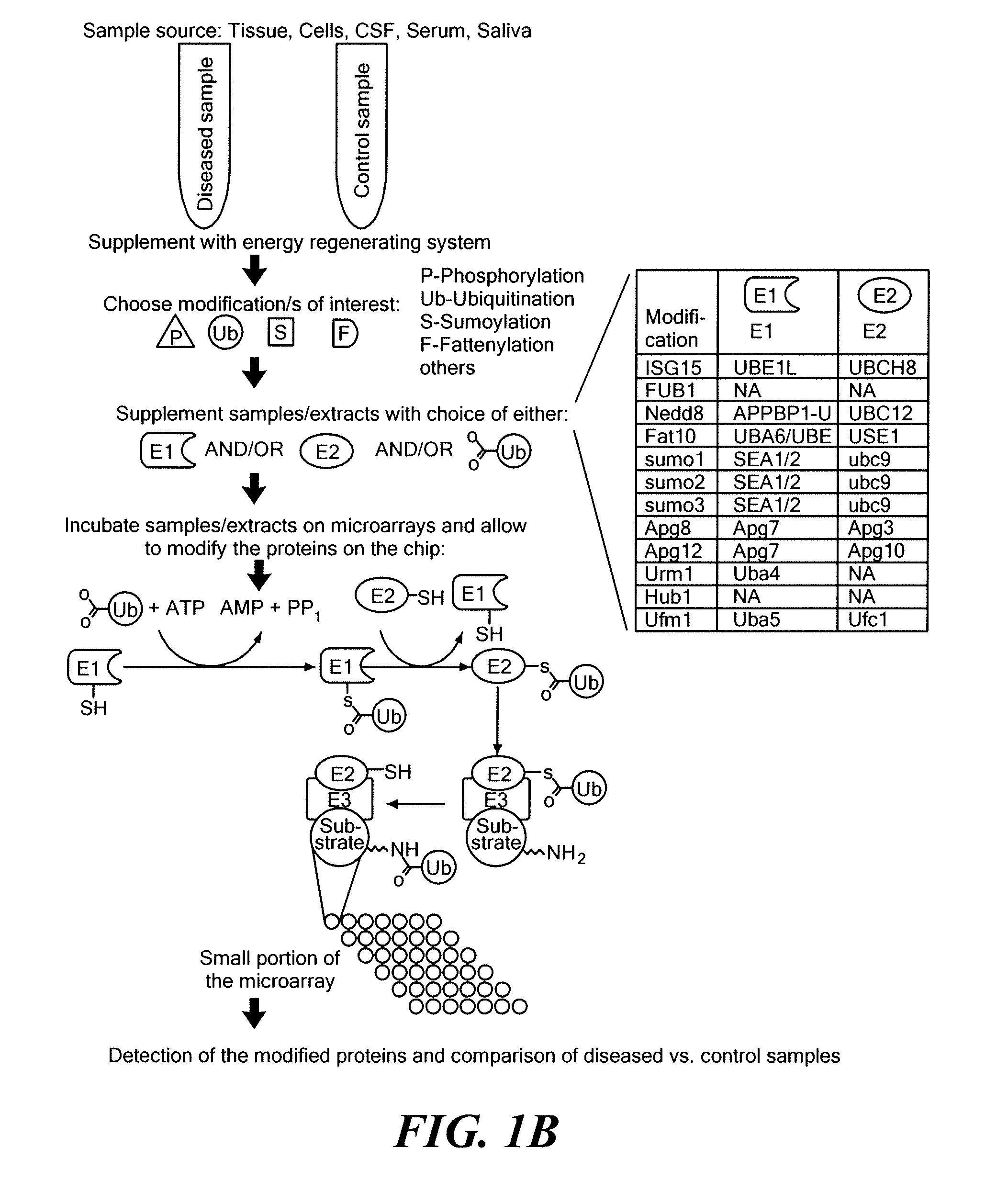 Diagnostic method based on large scale identification of post-translational modification of proteins