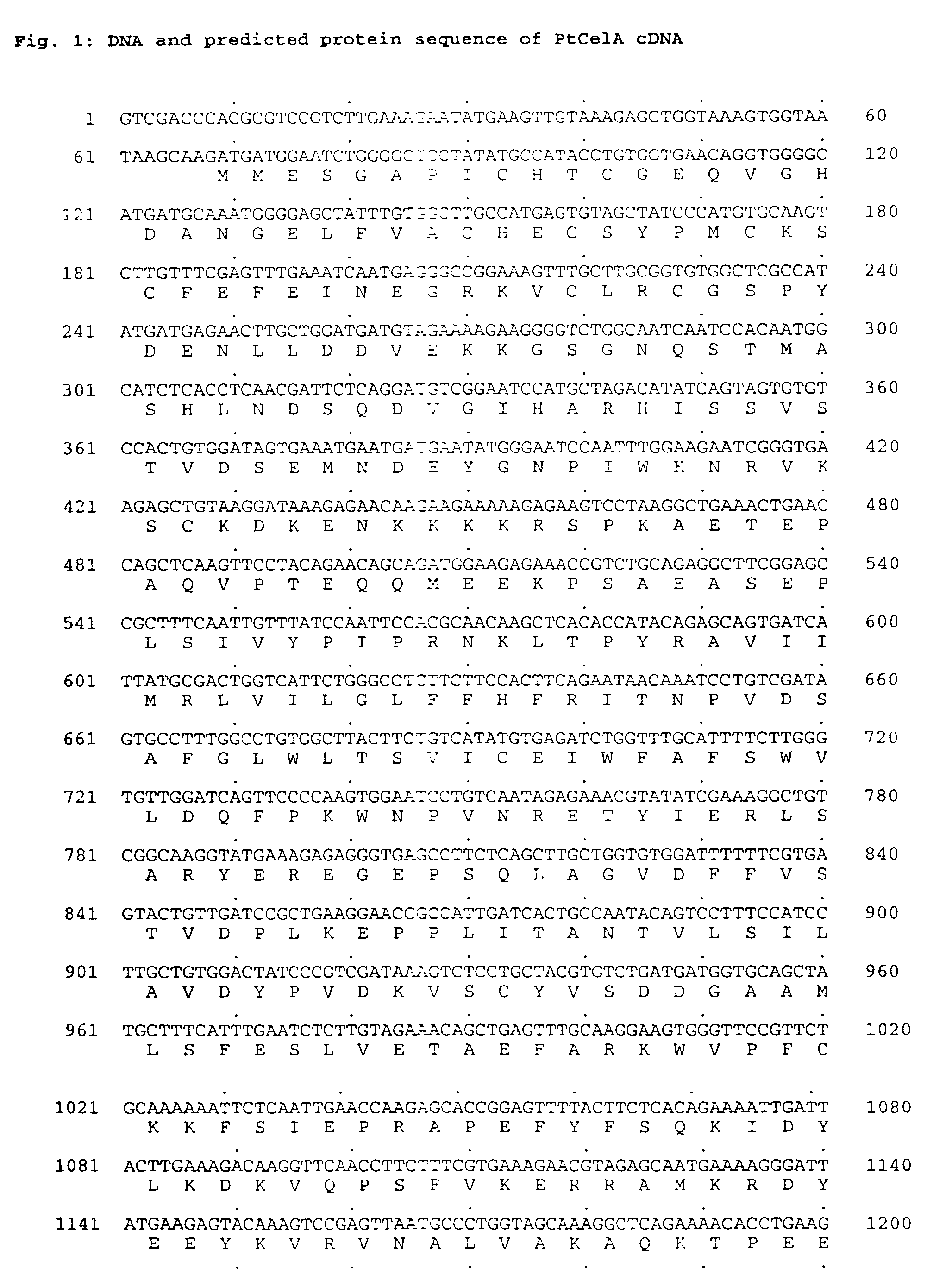 Cellulose synthase encoding polynucleotides and uses thereof