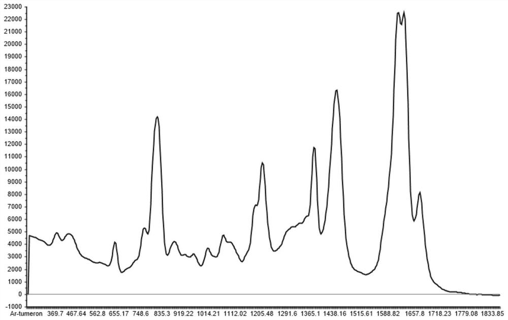 Method for identifying production place of turmeric essential oil based on Raman spectrum technology