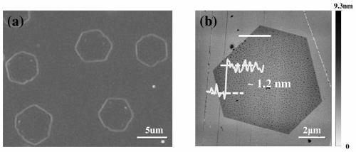 a kind of hfs  <sub>2</sub> Preparation method of single crystal nanosheet