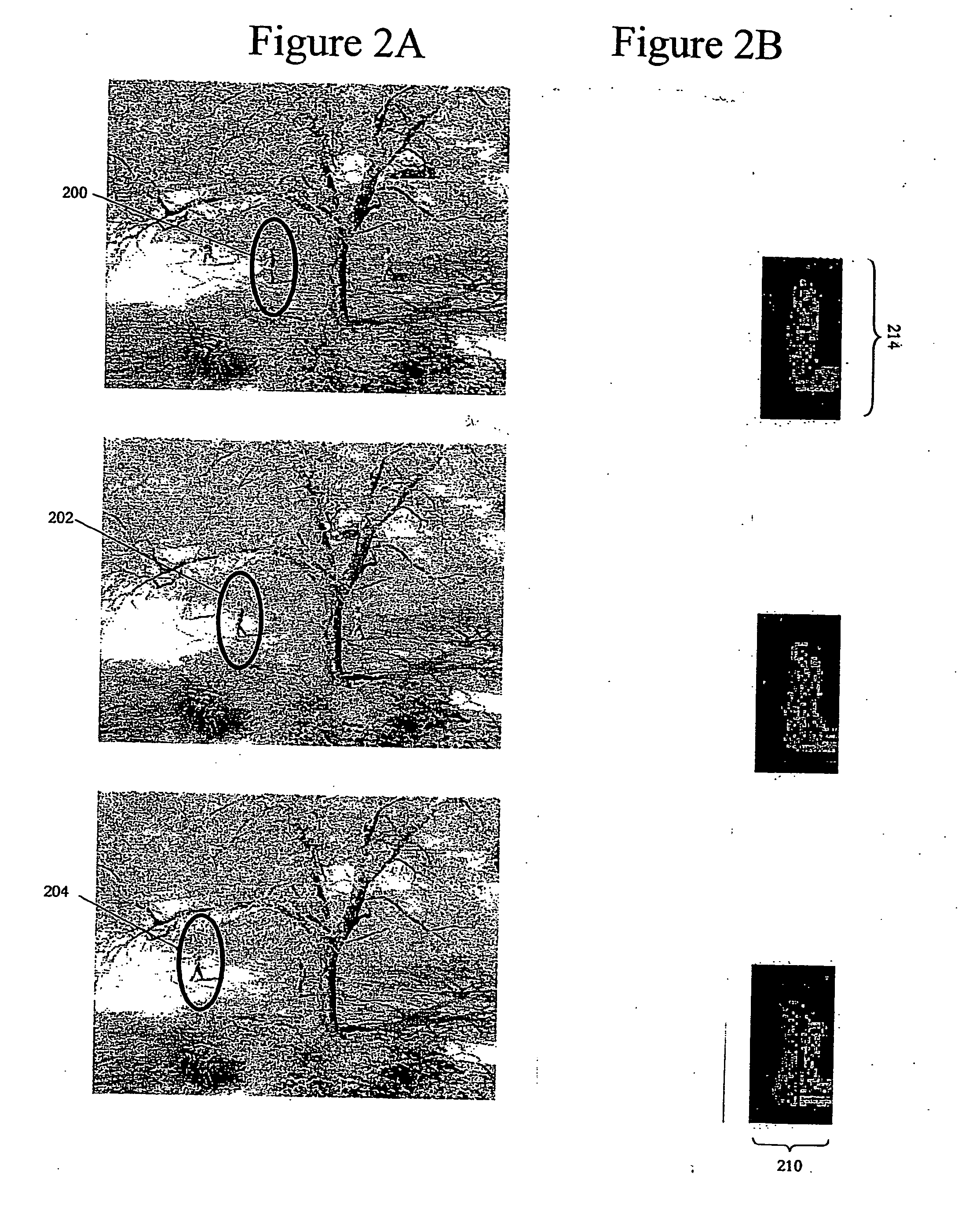 Flexible layer tracking with weak online appearance model