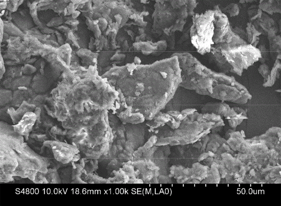 Injectable extracellular cartilage matrix particle and application of particle to implants