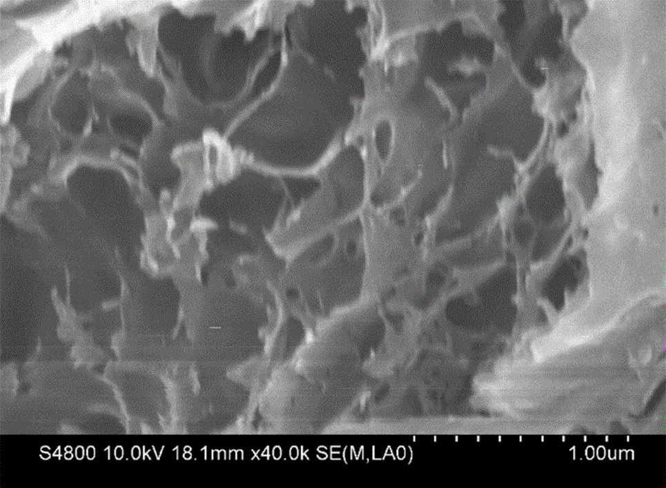 Injectable extracellular cartilage matrix particle and application of particle to implants