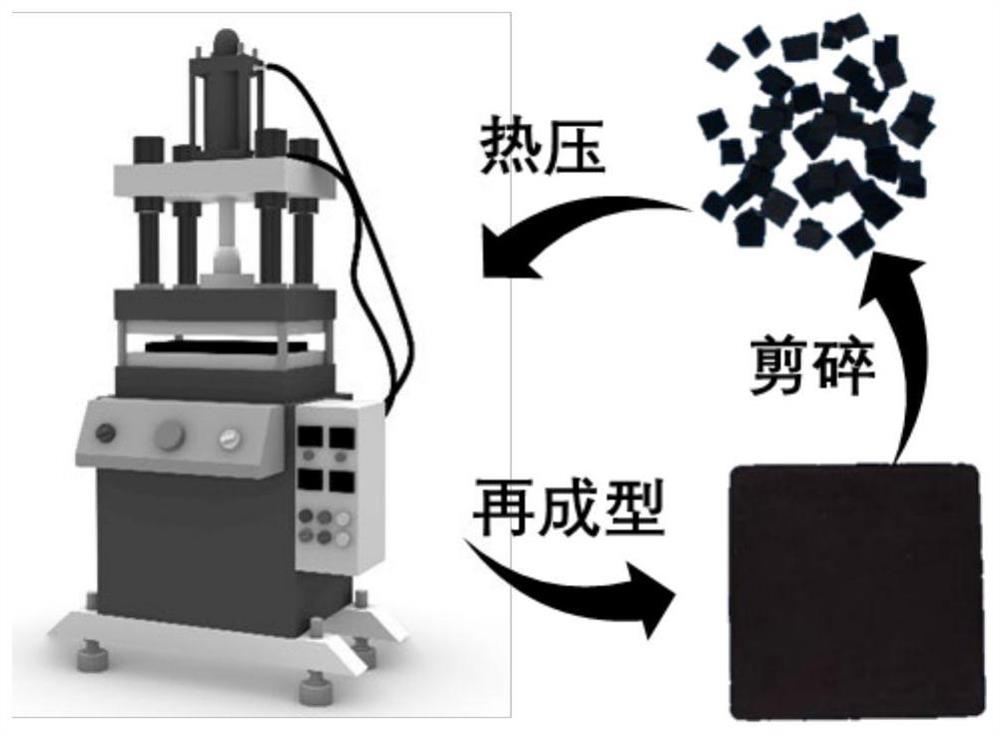 Preparation method of full-bio-based non-isocyanate polyurethane capable of being recycled and reprocessed