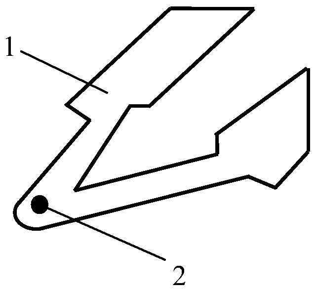 A probe in a scanning probe microscope, its preparation method and detection method