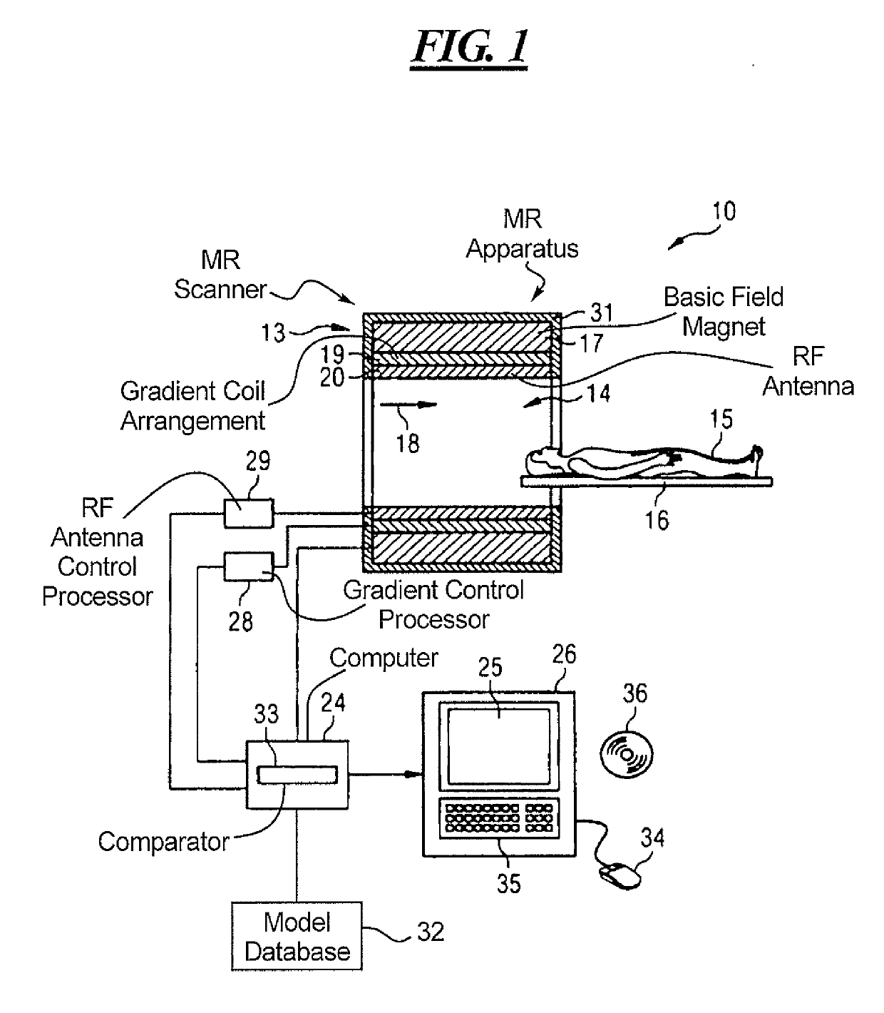 Method and apparatus for mitigating the effect of magnetization transfer in model-based magnetic resonance techniques