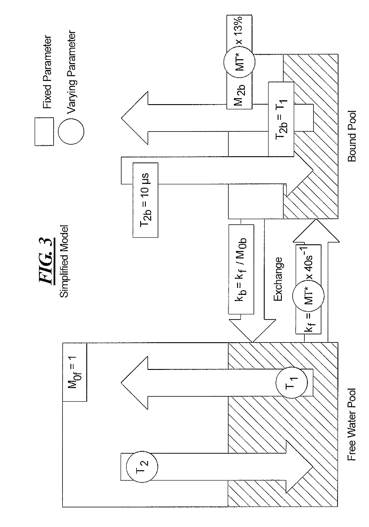 Method and apparatus for mitigating the effect of magnetization transfer in model-based magnetic resonance techniques