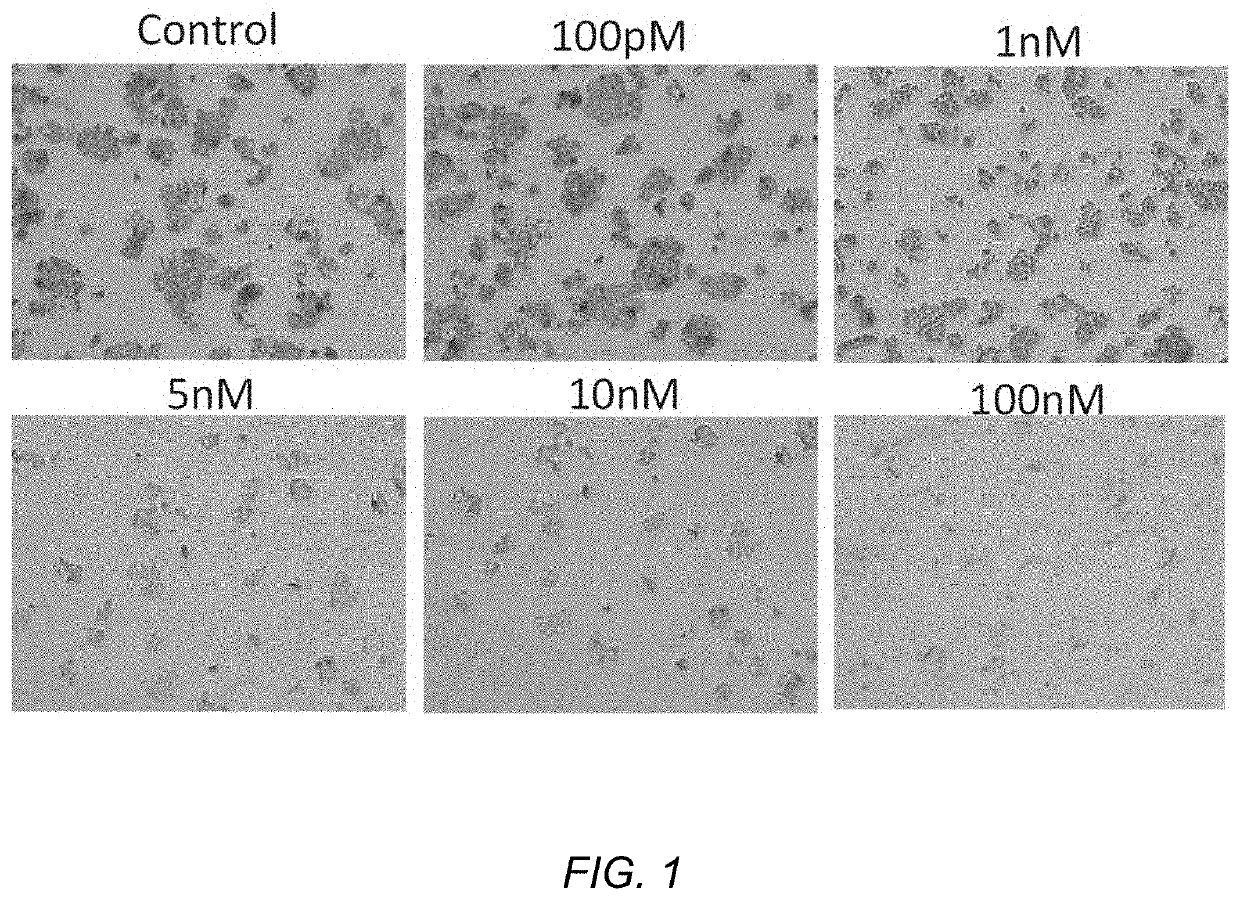 Lif/lifr antagonist in oncology and nonmalignant diseases