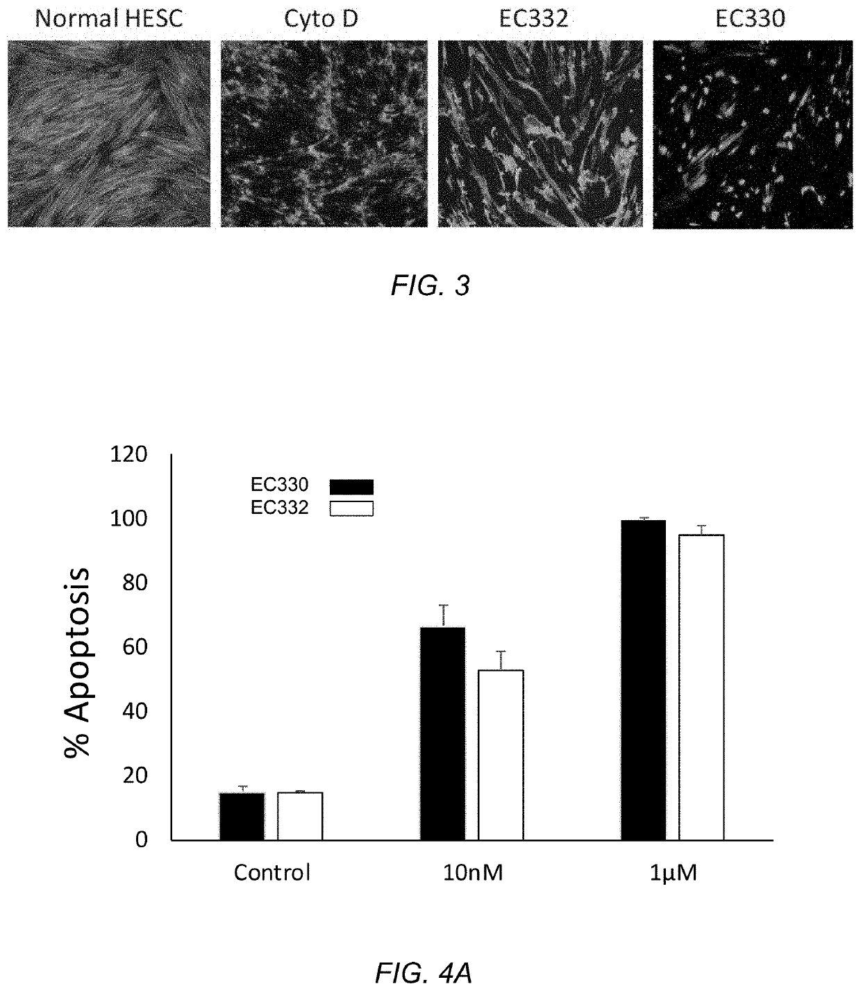 Lif/lifr antagonist in oncology and nonmalignant diseases