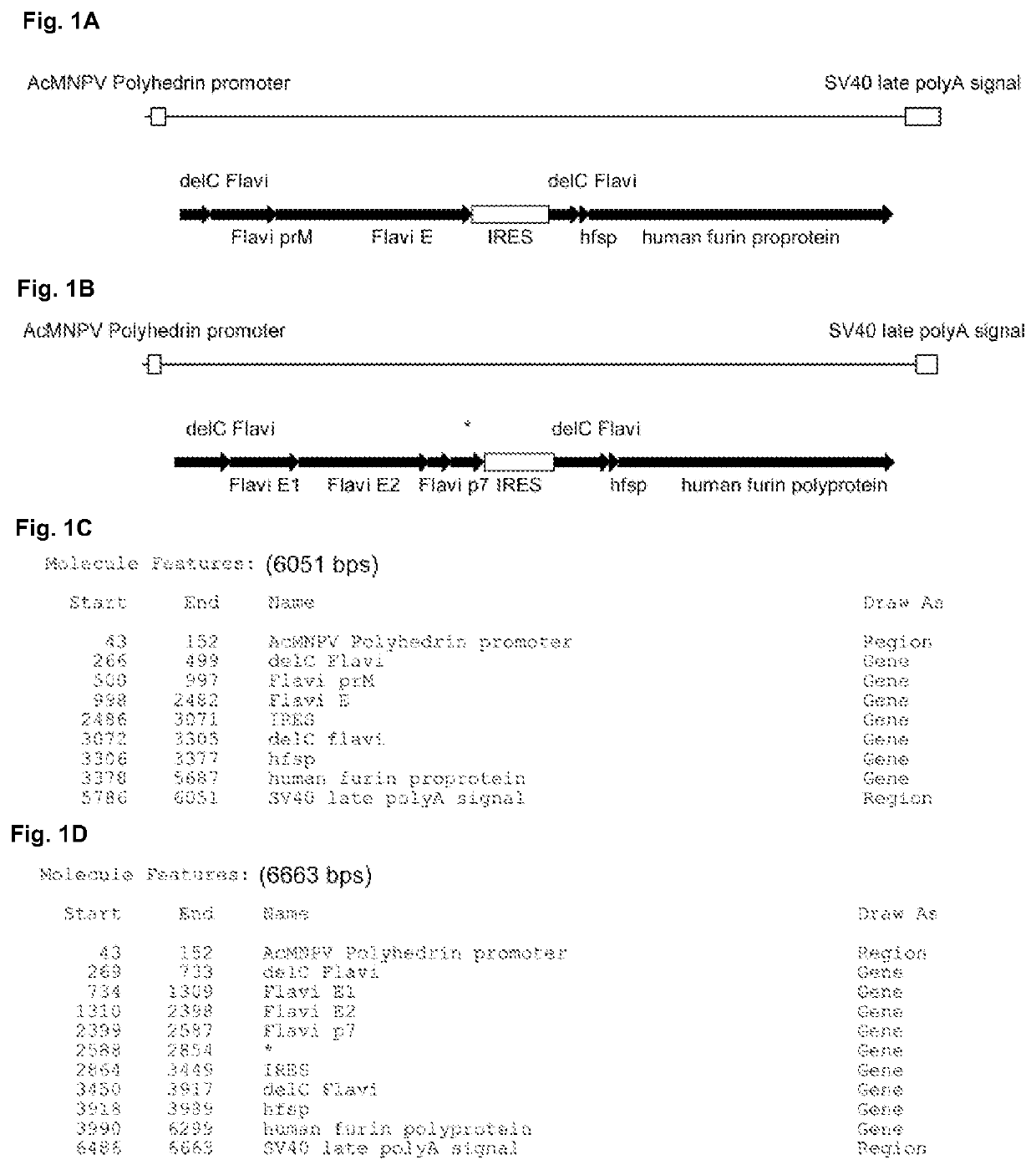 Method for producing virus like particles