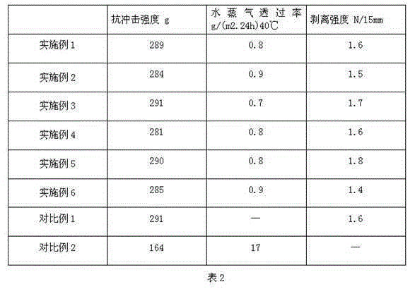 A kind of manufacturing method of cast PE film of aluminized grade