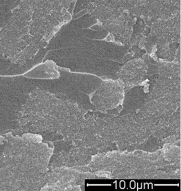 Preparation method of glass-fiber-reinforced epoxy resin composite material modified by circuit board recovered powder and nanoparticles