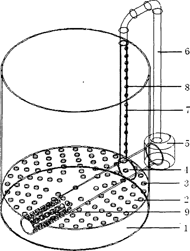 A vortex live shrimp transport device