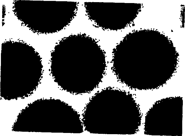 Preparation technique of protein medicine microsphere carrier with small grain size