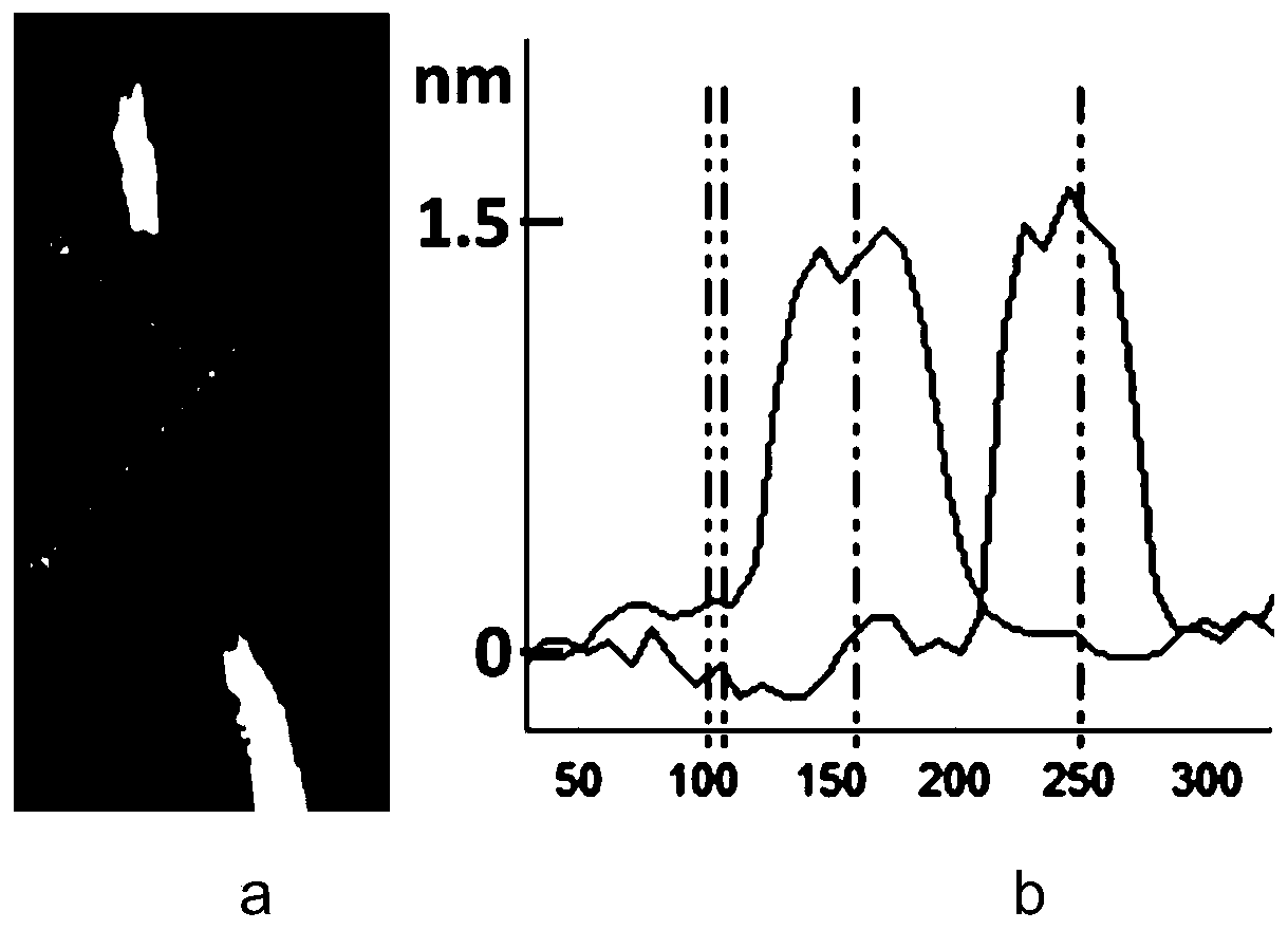 Bismuth nanowire with thickness of 1.5 nm and preparation method and application thereof