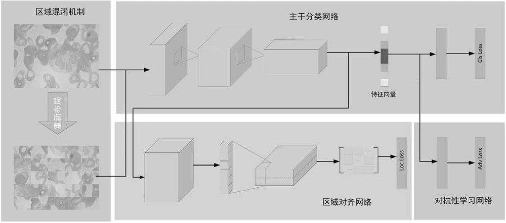 Blood cell microscopic image classification method based on regional confusion mechanism neural network