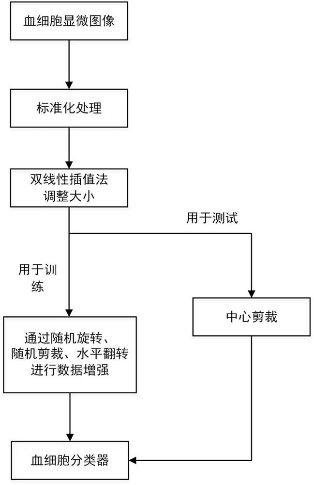 Blood cell microscopic image classification method based on regional confusion mechanism neural network