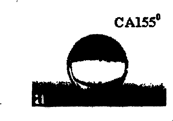 Preparation method of fluorine containing coating layer possessing ultra hydrophobic and oleophobic surface reinforced by inorganic ultrafine fiber