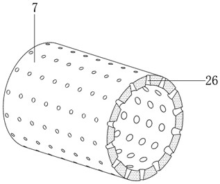 A drum type drying device for processing dendrobium candidum