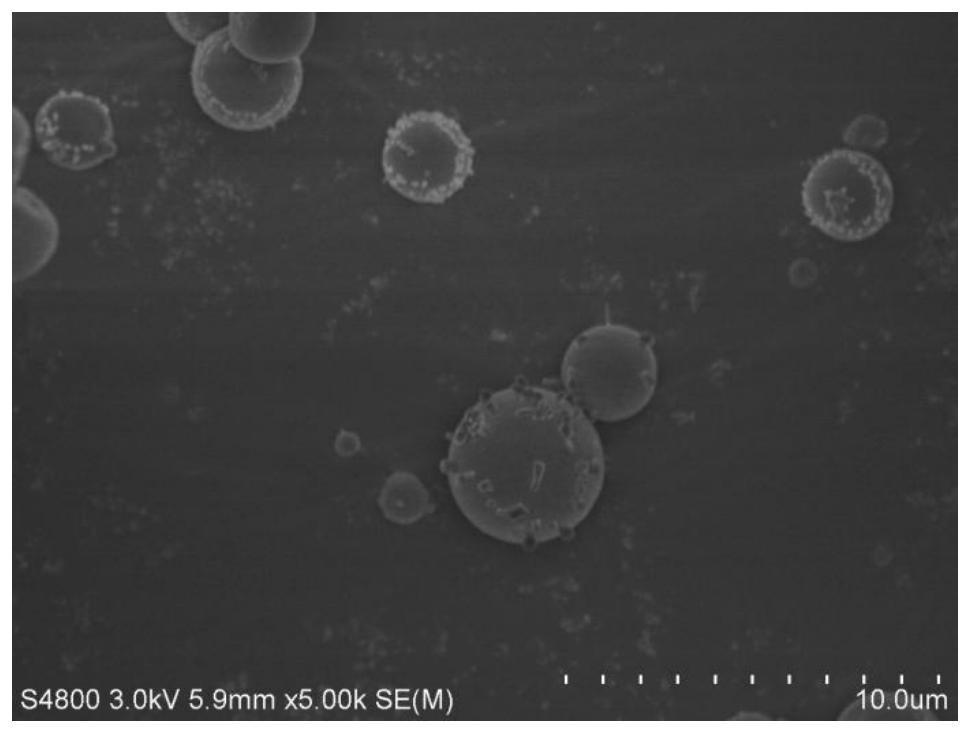 A kind of asiaticoside-chitosan-sodium alginate microsphere, preparation method and application thereof