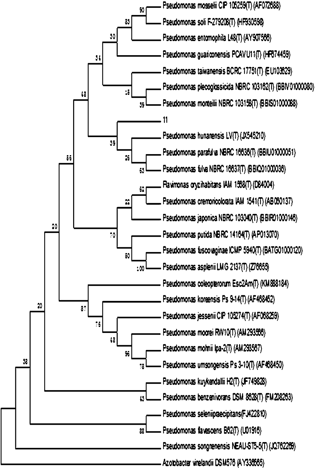 Arsenic polluted soil remediating agent and application thereof