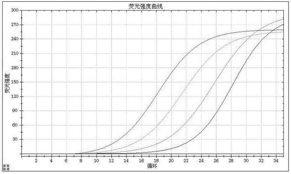 Primers, probe, detection method and kit for PCR-fluorescence detection of human papilloma virus types 16 and 18