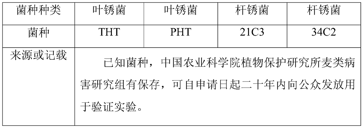 Antigens and polyclonal antibodies for differentiating between wheat leaf rust and bacillus rust