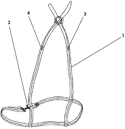 Intelligent safety belt