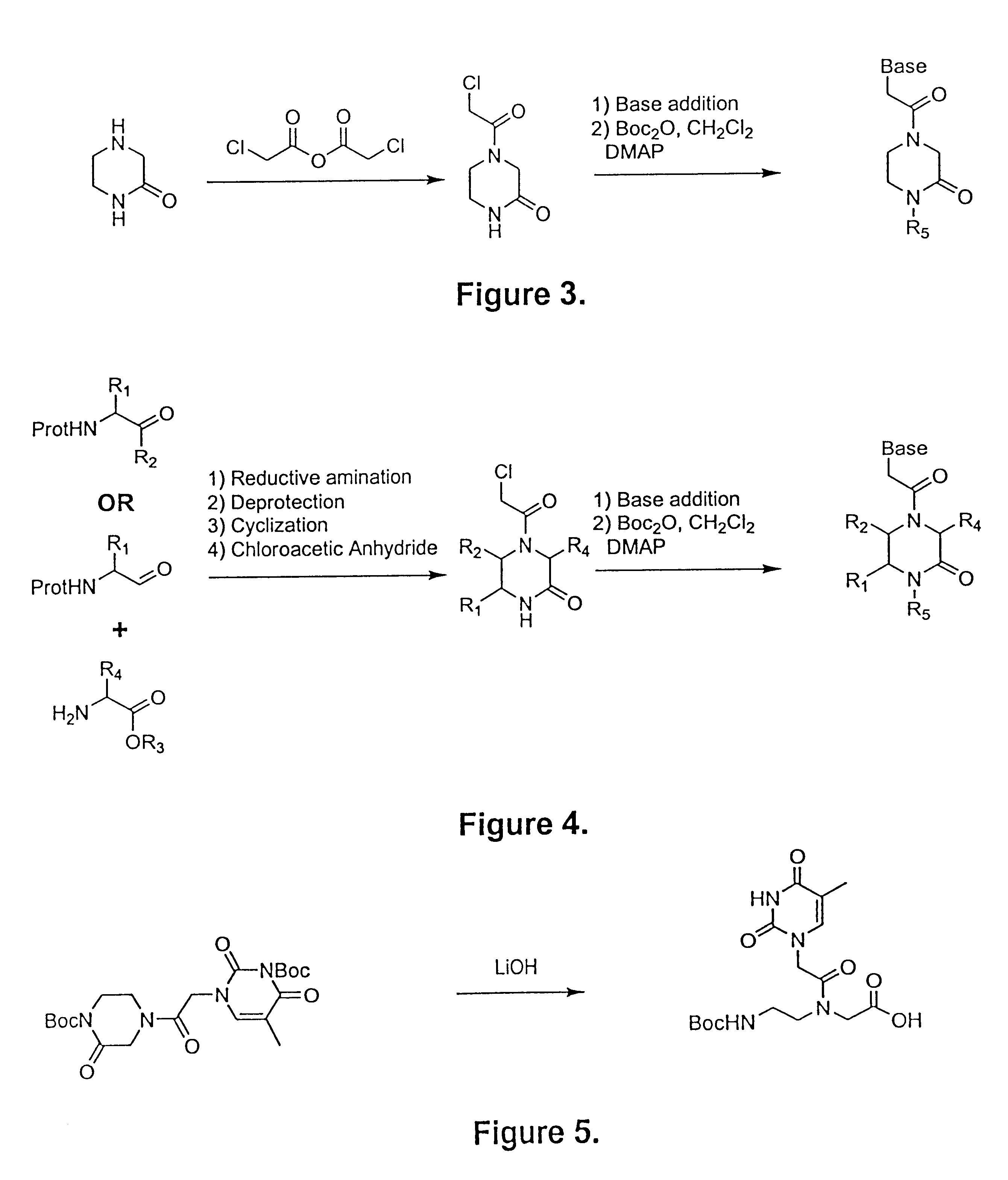 Peptide nucleic acid precursors and methods of preparing same