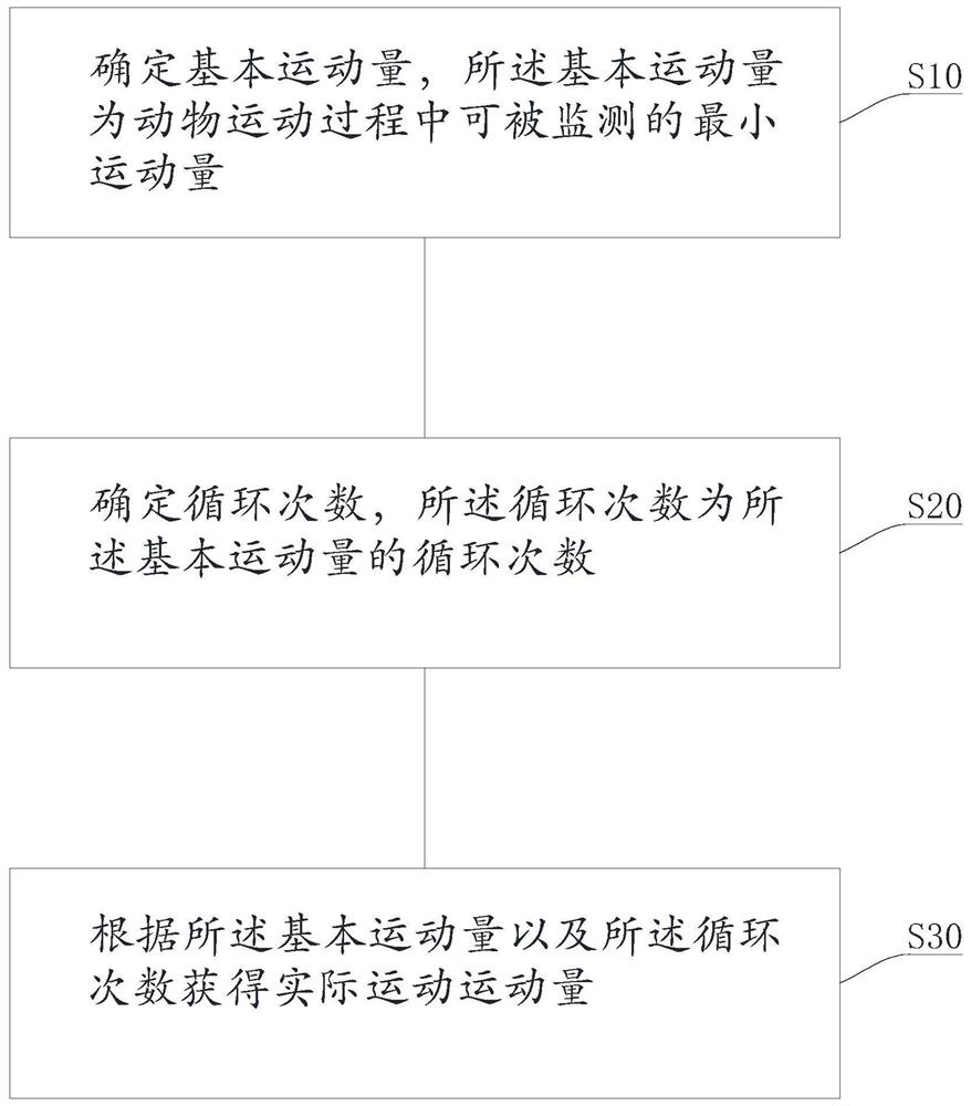 Animal exercise amount monitoring method and system