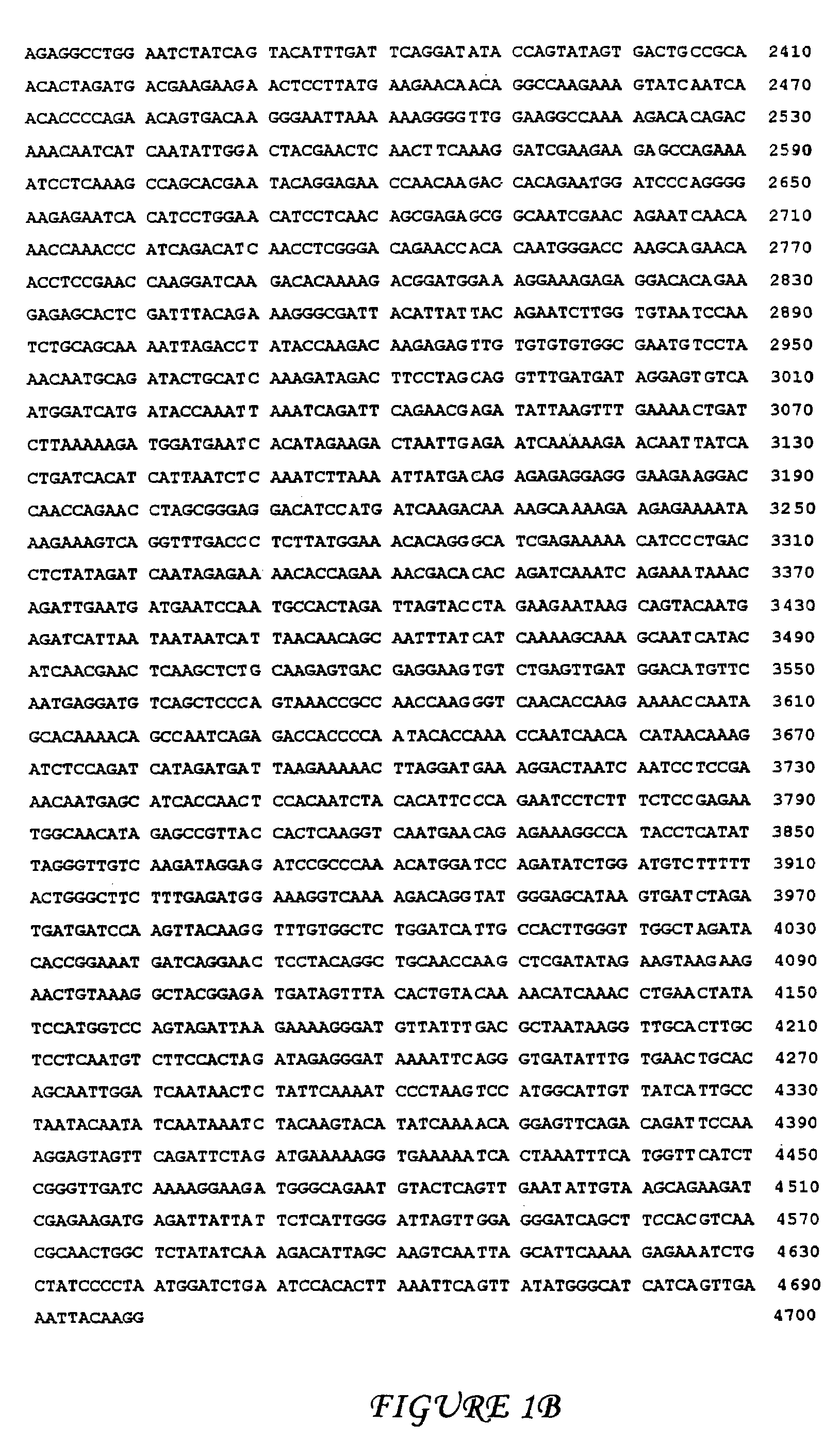 Attenuated human-bovine chimeric parainfluenza virus (PIV) vaccines