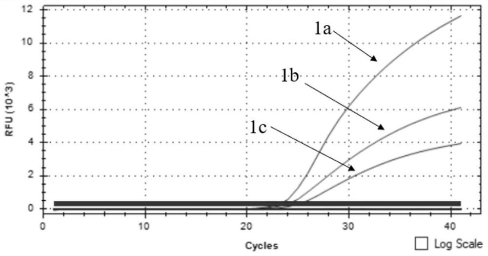 Triple fluorescent quantitative PCR detection primers and kit for identifying African swine fever wild strain and gene deletion strain