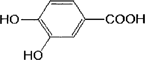 Extractive of effective part of chloranthus glaber and preparation method thereof