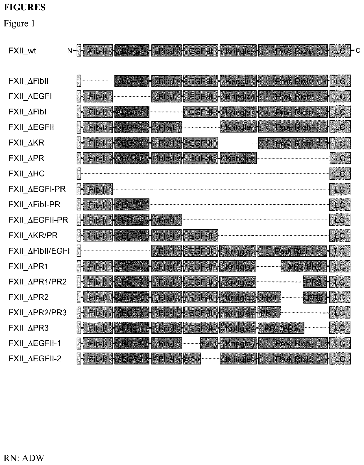 Binding Molecule Activating FXII