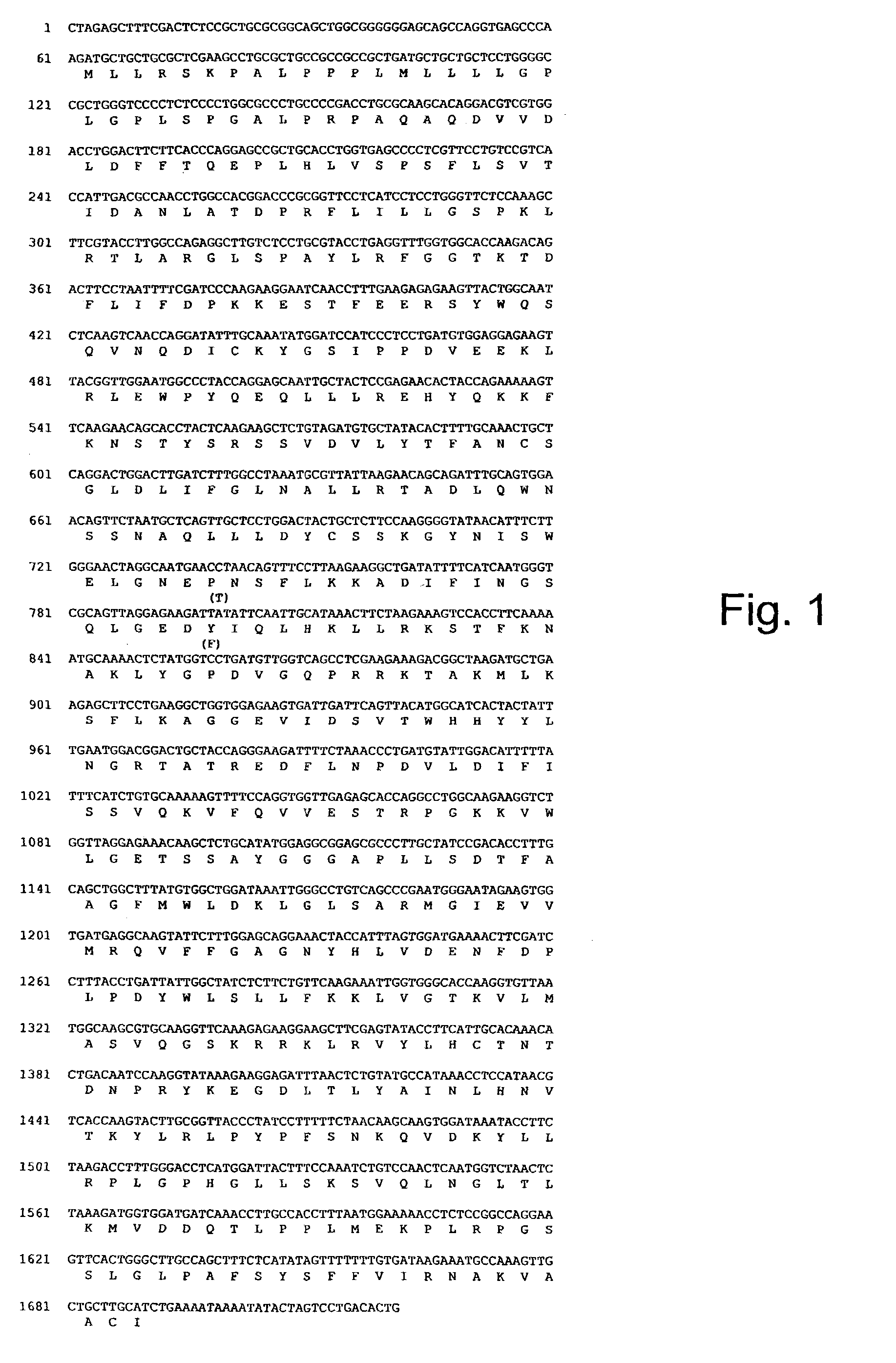 Transgenic animals expressing heparanase and uses thereof