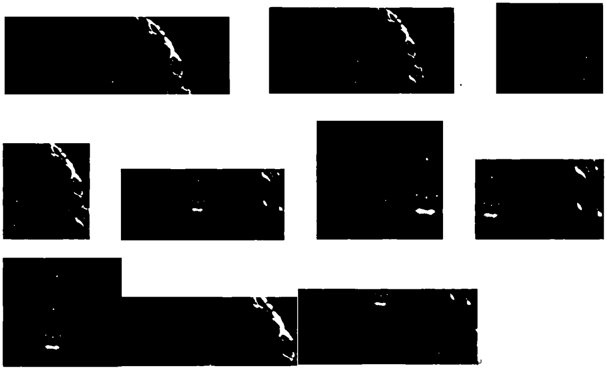 Psychological behavior recognition method, device and storage medium