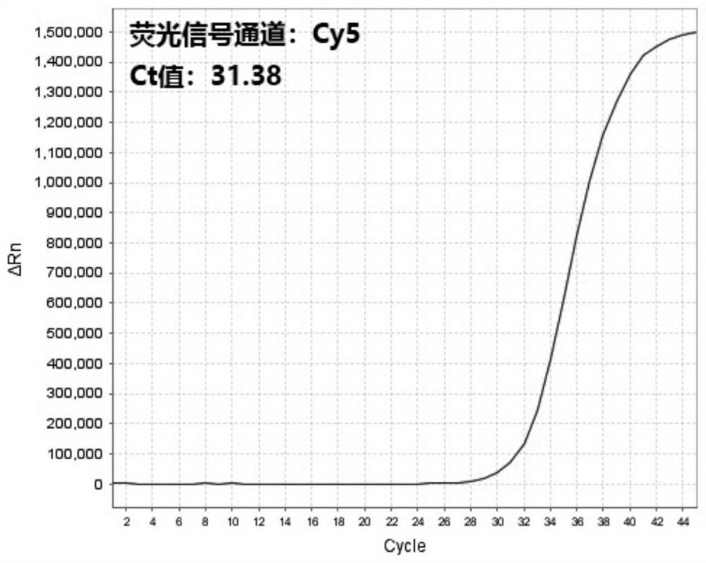 Multi-purpose real-time fluorescent quantitative PCR kit, method and primer probe composition for detecting 2019 novel coronavirus