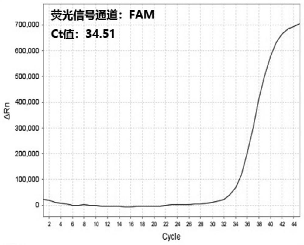 Multi-purpose real-time fluorescent quantitative PCR kit, method and primer probe composition for detecting 2019 novel coronavirus