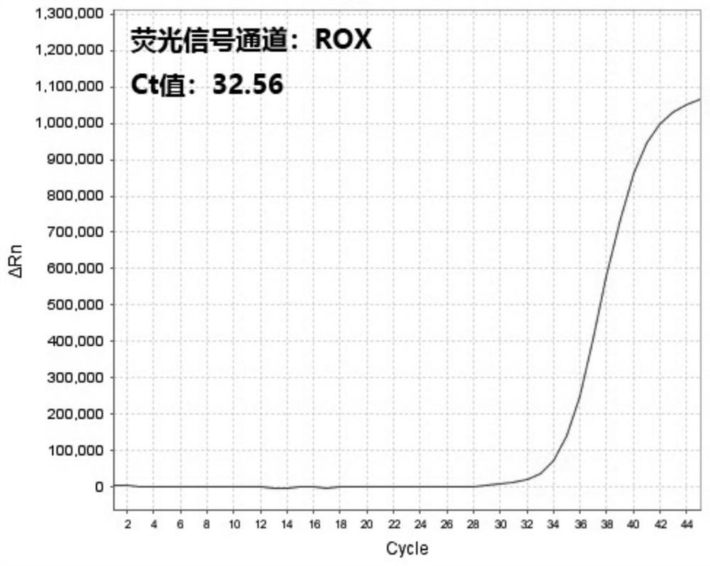 Multi-purpose real-time fluorescent quantitative PCR kit, method and primer probe composition for detecting 2019 novel coronavirus