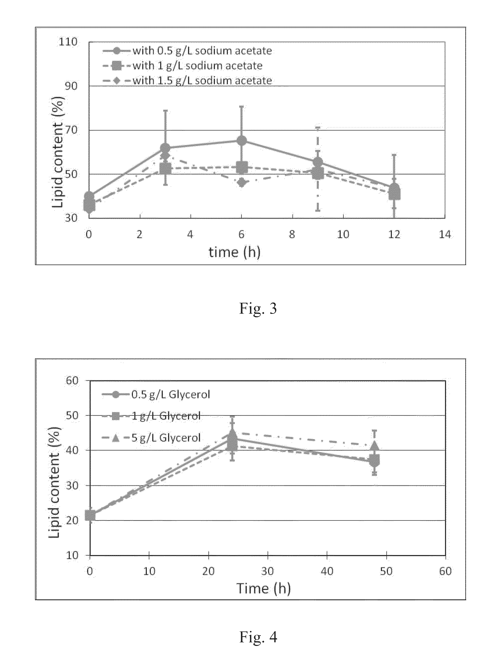 Algae having intracellular lipid particles and high lipid content