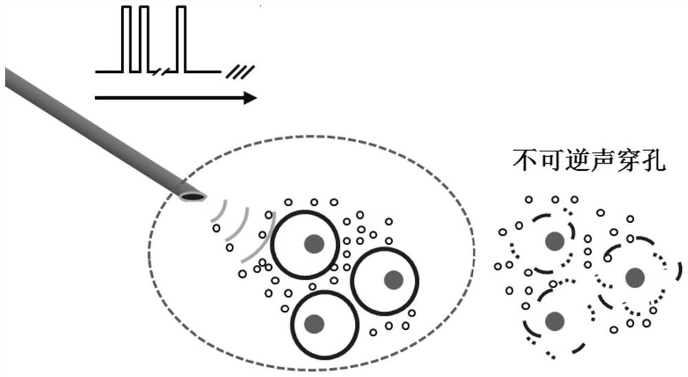 Irreversible acoustic perforation device, device and computer readable storage medium