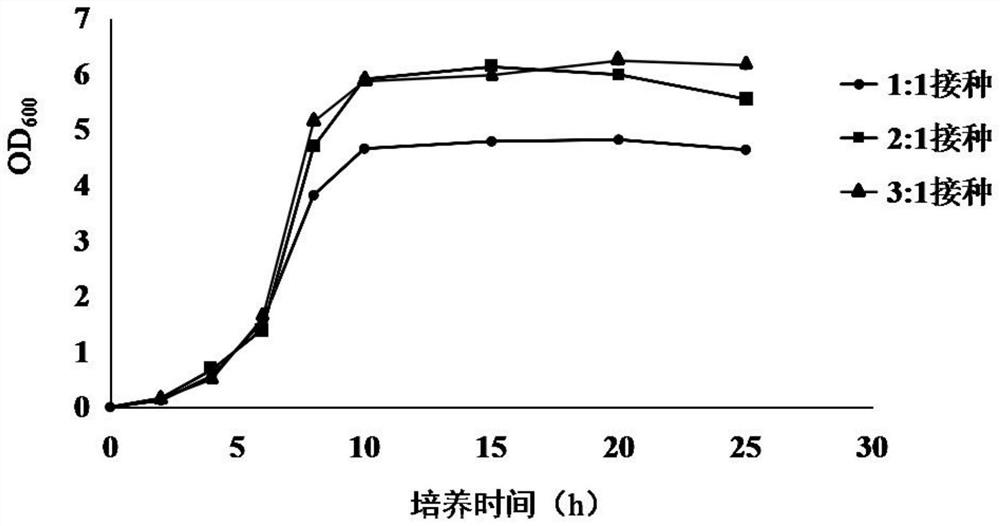 Composite microbial algae removal microbial agent and preparation method and application thereof