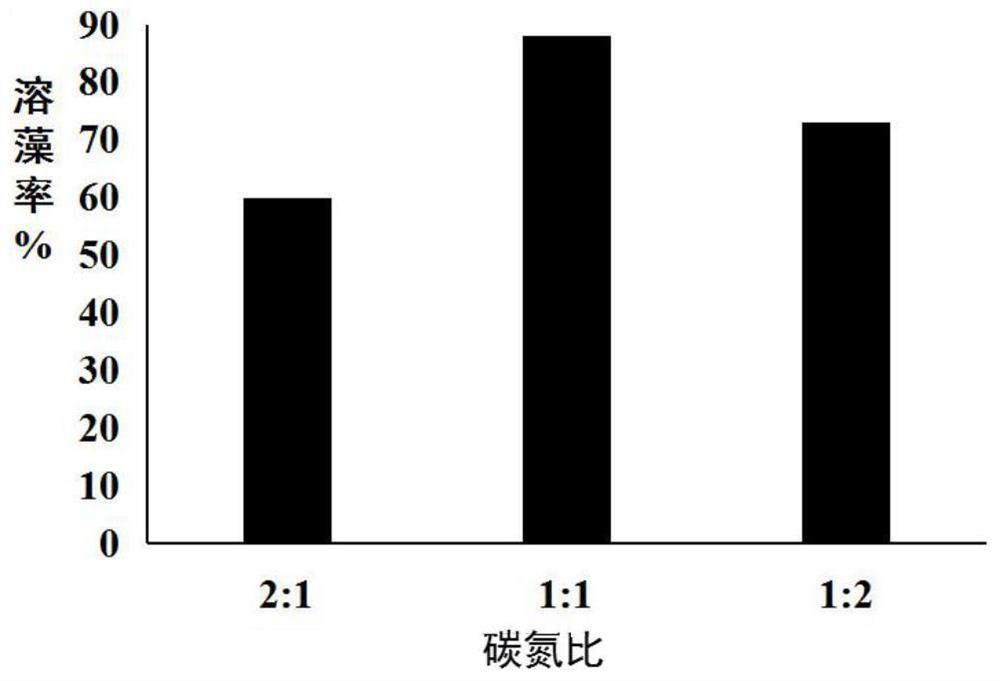 Composite microbial algae removal microbial agent and preparation method and application thereof