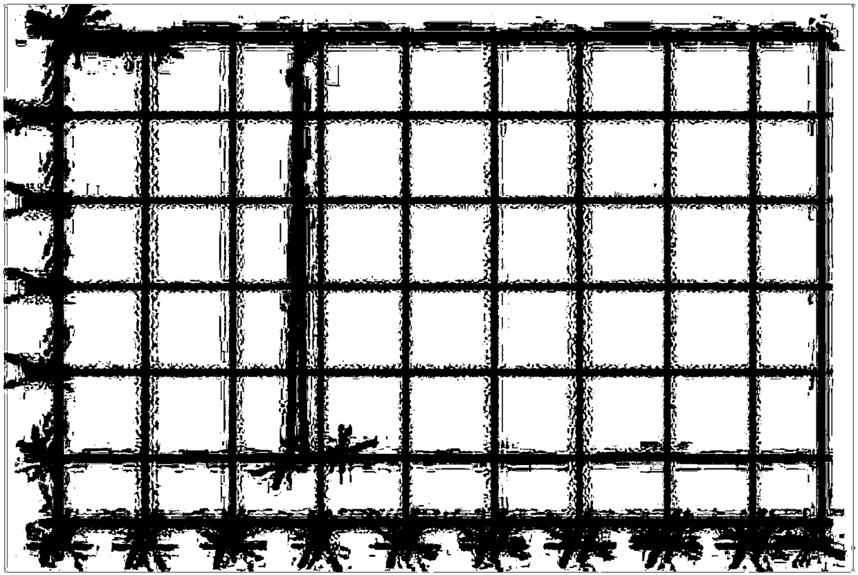 Composition for eliminating skin stains as well as preparation method and application thereof