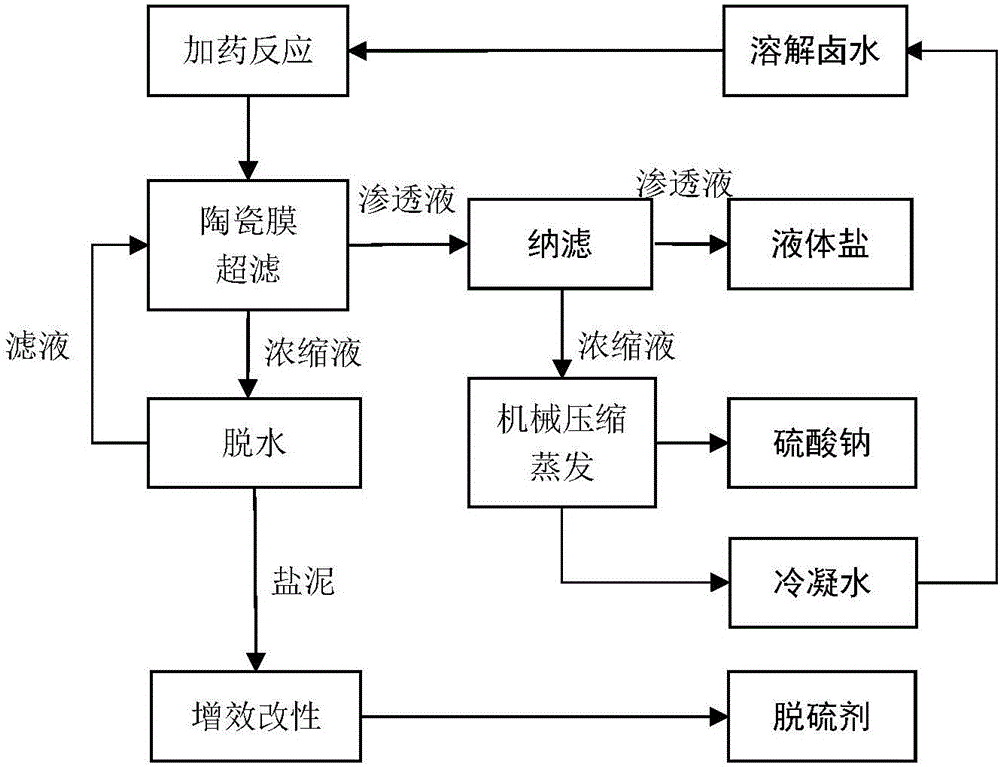 Double-membrane liquid salt refining zero-emission production technology